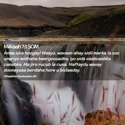 Picture 02 - Miikaah 7:1 SOM - Anaa iska hoogay! Waayo, waxaan ahay sidii marka - Bible Verse Picture