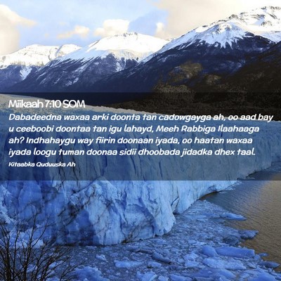Picture 02 - Miikaah 7:10 SOM - Dabadeedna waxaa arki doonta tan cadowgayga ah, - Bible Verse Picture