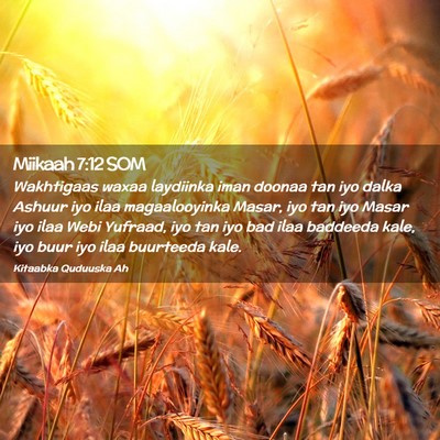 Picture 02 - Miikaah 7:12 SOM - Wakhtigaas waxaa laydiinka iman doonaa tan iyo - Bible Verse Picture