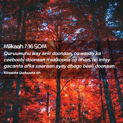 Picture 02 - Miikaah 7:16 SOM - Quruumuhu way arki doonaan, oo waxay ka ceeboobi - Bible Verse Picture