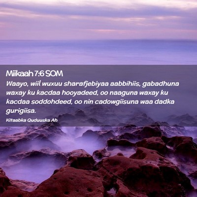 Picture 02 - Miikaah 7:6 SOM - Waayo, wiil wuxuu sharafjebiyaa aabbihiis, - Bible Verse Picture