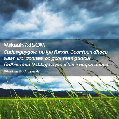 Picture 02 - Miikaah 7:8 SOM - Cadowgaygow, ha igu farxin. Goortaan dhoco waan - Bible Verse Picture
