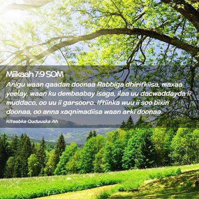 Picture 02 - Miikaah 7:9 SOM - Anigu waan qaadan doonaa Rabbiga dhirifkiisa, - Bible Verse Picture