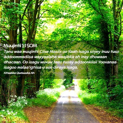 Picture 02 - Muujintii 1:1 SOM - Tanu waa muujintii Ciise Masiix oo Ilaah isaga - Bible Verse Picture