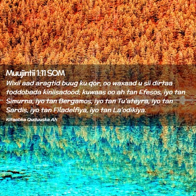 Picture 02 - Muujintii 1:11 SOM - Wixii aad aragtid buug ku qor, oo waxaad u sii - Bible Verse Picture