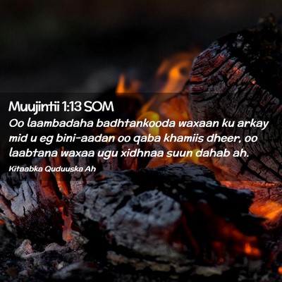Picture 02 - Muujintii 1:13 SOM - Oo laambadaha badhtankooda waxaan ku arkay mid u - Bible Verse Picture