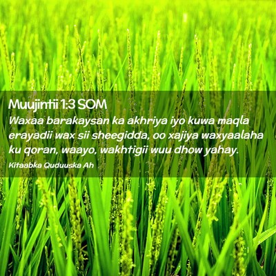 Picture 02 - Muujintii 1:3 SOM - Waxaa barakaysan ka akhriya iyo kuwa maqla - Bible Verse Picture