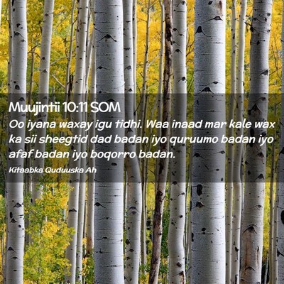 Picture 02 - Muujintii 10:11 SOM - Oo iyana waxay igu tidhi. Waa inaad mar kale wax - Bible Verse Picture