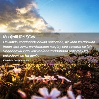 Picture 02 - Muujintii 10:4 SOM - Oo markii toddobadii onkod onkodeen, waxaan ku - Bible Verse Picture