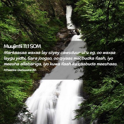 Picture 02 - Muujintii 11:1 SOM - Markaasaa waxaa lay siiyey cawsduur ul u eg, oo - Bible Verse Picture