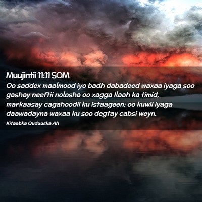 Picture 02 - Muujintii 11:11 SOM - Oo saddex maalmood iyo badh dabadeed waxaa iyaga - Bible Verse Picture