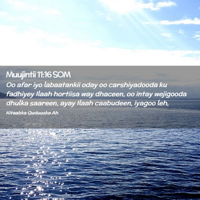 Picture 02 - Muujintii 11:16 SOM - Oo afar iyo labaatankii oday oo carshiyadooda ku - Bible Verse Picture
