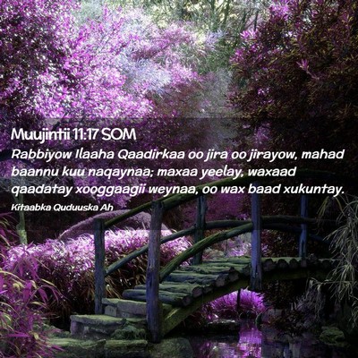 Picture 02 - Muujintii 11:17 SOM - Rabbiyow Ilaaha Qaadirkaa oo jira oo jirayow, - Bible Verse Picture