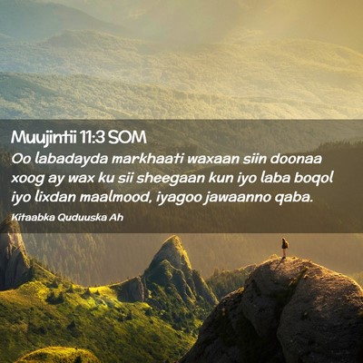 Picture 02 - Muujintii 11:3 SOM - Oo labadayda markhaati waxaan siin doonaa xoog ay - Bible Verse Picture