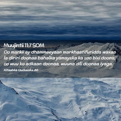 Picture 02 - Muujintii 11:7 SOM - Oo markii ay dhammeeyaan markhaatifuridda waxaa - Bible Verse Picture