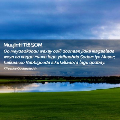 Picture 02 - Muujintii 11:8 SOM - Oo meydadkoodu waxay oolli doonaan jidka - Bible Verse Picture