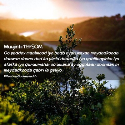 Picture 02 - Muujintii 11:9 SOM - Oo saddex maalmood iyo badh ayaa waxaa - Bible Verse Picture