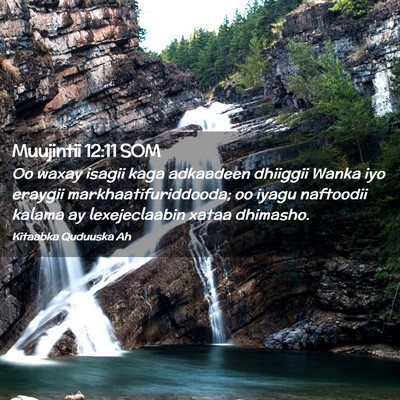 Picture 02 - Muujintii 12:11 SOM - Oo waxay isagii kaga adkaadeen dhiiggii Wanka iyo - Bible Verse Picture