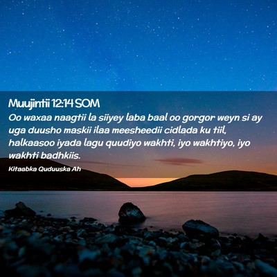 Picture 02 - Muujintii 12:14 SOM - Oo waxaa naagtii la siiyey laba baal oo gorgor - Bible Verse Picture