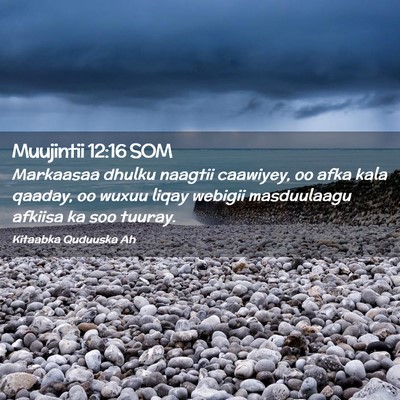 Picture 02 - Muujintii 12:16 SOM - Markaasaa dhulku naagtii caawiyey, oo afka kala - Bible Verse Picture