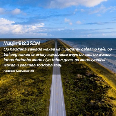 Picture 02 - Muujintii 12:3 SOM - Oo haddana samada waxaa ka muuqatay calaamo kale; - Bible Verse Picture