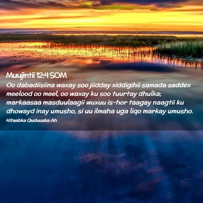 Picture 02 - Muujintii 12:4 SOM - Oo dabadiisiina waxay soo jiidday xiddigihii - Bible Verse Picture