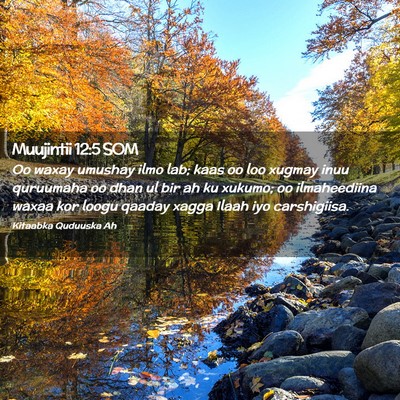 Picture 02 - Muujintii 12:5 SOM - Oo waxay umushay ilmo lab; kaas oo loo xugmay - Bible Verse Picture