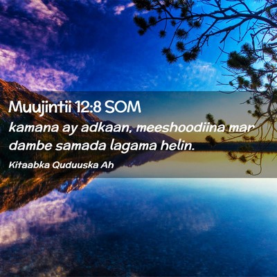 Picture 02 - Muujintii 12:8 SOM - kamana ay adkaan, meeshoodiina mar dambe samada - Bible Verse Picture