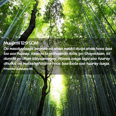 Picture 02 - Muujintii 12:9 SOM - Oo masduulaagii weynaa oo ahaa maskii duqa ahaa - Bible Verse Picture
