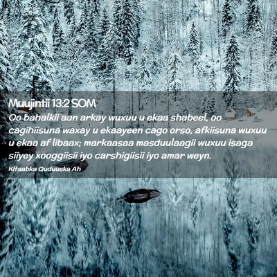 Picture 02 - Muujintii 13:2 SOM - Oo bahalkii aan arkay wuxuu u ekaa shabeel, oo - Bible Verse Picture