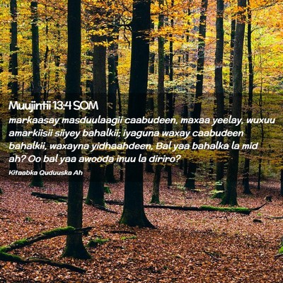 Picture 02 - Muujintii 13:4 SOM - markaasay masduulaagii caabudeen, maxaa yeelay, - Bible Verse Picture