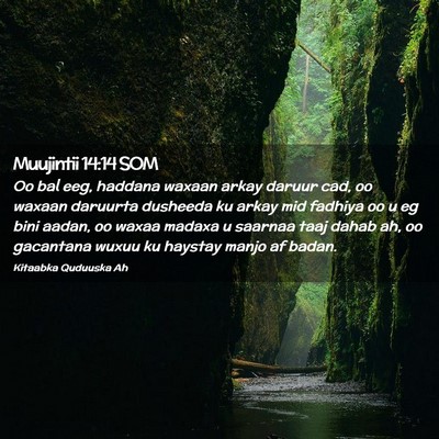 Picture 02 - Muujintii 14:14 SOM - Oo bal eeg, haddana waxaan arkay daruur cad, oo - Bible Verse Picture