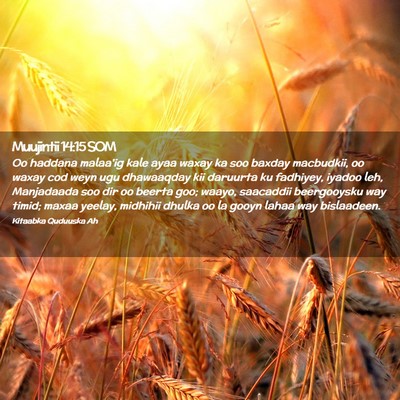Picture 02 - Muujintii 14:15 SOM - Oo haddana malaa'ig kale ayaa waxay ka soo baxday - Bible Verse Picture