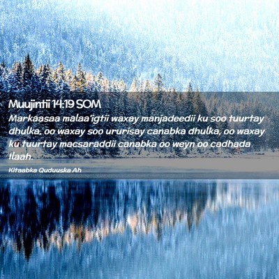 Picture 02 - Muujintii 14:19 SOM - Markaasaa malaa'igtii waxay manjadeedii ku soo - Bible Verse Picture