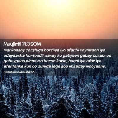 Picture 02 - Muujintii 14:3 SOM - markaasay carshiga hortiisa iyo afartii xayawaan - Bible Verse Picture