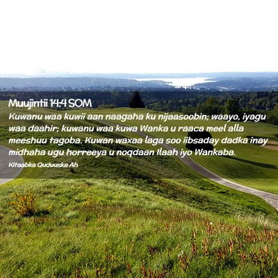 Picture 02 - Muujintii 14:4 SOM - Kuwanu waa kuwii aan naagaha ku nijaasoobin; - Bible Verse Picture