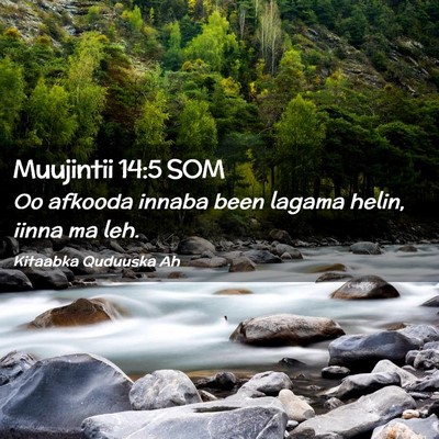 Picture 02 - Muujintii 14:5 SOM - Oo afkooda innaba been lagama helin, iinna ma - Bible Verse Picture