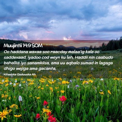 Picture 02 - Muujintii 14:9 SOM - Oo haddana waxaa soo raacday malaa'ig kale oo - Bible Verse Picture