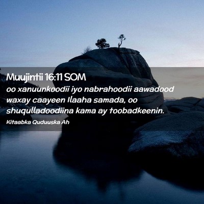 Picture 02 - Muujintii 16:11 SOM - oo xanuunkoodii iyo nabrahoodii aawadood waxay - Bible Verse Picture