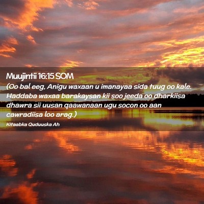 Picture 02 - Muujintii 16:15 SOM - (Oo bal eeg, Anigu waxaan u imanayaa sida tuug oo - Bible Verse Picture