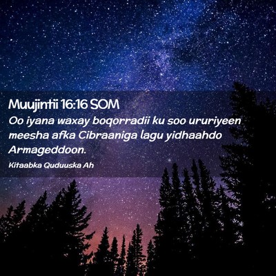 Picture 02 - Muujintii 16:16 SOM - Oo iyana waxay boqorradii ku soo ururiyeen meesha - Bible Verse Picture