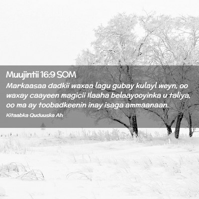 Picture 02 - Muujintii 16:9 SOM - Markaasaa dadkii waxaa lagu gubay kulayl weyn, oo - Bible Verse Picture