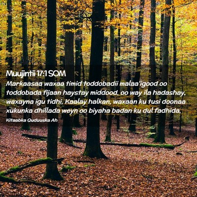 Picture 02 - Muujintii 17:1 SOM - Markaasaa waxaa timid toddobadii malaa'igood oo - Bible Verse Picture