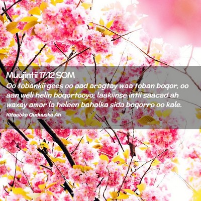 Picture 02 - Muujintii 17:12 SOM - Oo tobankii gees oo aad aragtay waa toban boqor, - Bible Verse Picture