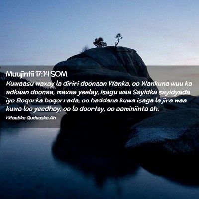 Picture 02 - Muujintii 17:14 SOM - Kuwaasu waxay la diriri doonaan Wanka, oo Wankuna - Bible Verse Picture