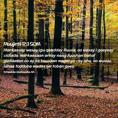 Picture 02 - Muujintii 17:3 SOM - Markaasay waxay igu qaadday Ruuxa, oo waxay i - Bible Verse Picture