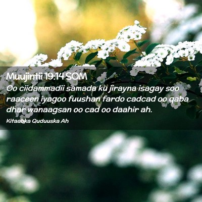 Picture 02 - Muujintii 19:14 SOM - Oo ciidammadii samada ku jirayna isagay soo - Bible Verse Picture