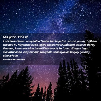Picture 02 - Muujintii 2:14 SOM - Laakiinse dhawr waxyaalood baan kuu haystaa, - Bible Verse Picture