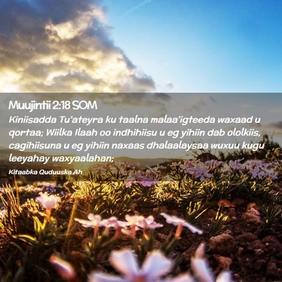 Picture 02 - Muujintii 2:18 SOM - Kiniisadda Tu'ateyra ku taalna malaa'igteeda - Bible Verse Picture