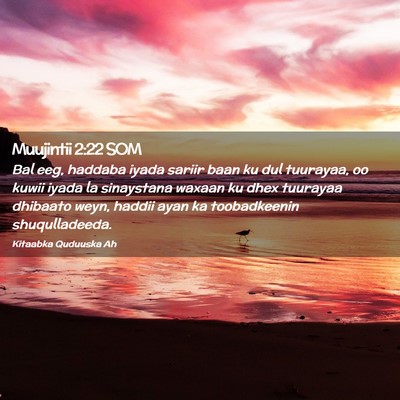 Picture 02 - Muujintii 2:22 SOM - Bal eeg, haddaba iyada sariir baan ku dul - Bible Verse Picture